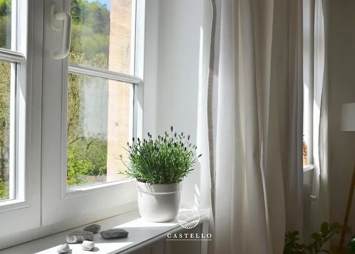 Gruenderzeitvilla Zwischen Weinstrasse Und Pfaelzer Wald 아파트 바트버그자베른